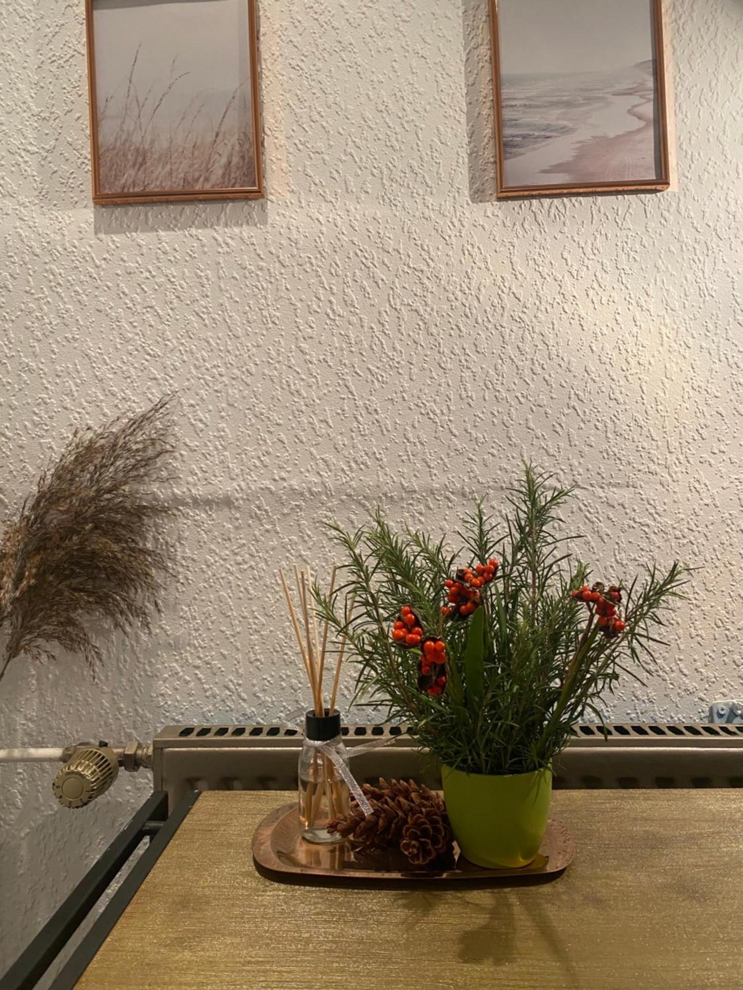 Alte Schmiede In Der Altstadt Von St. Goarshausen Zewnętrze zdjęcie